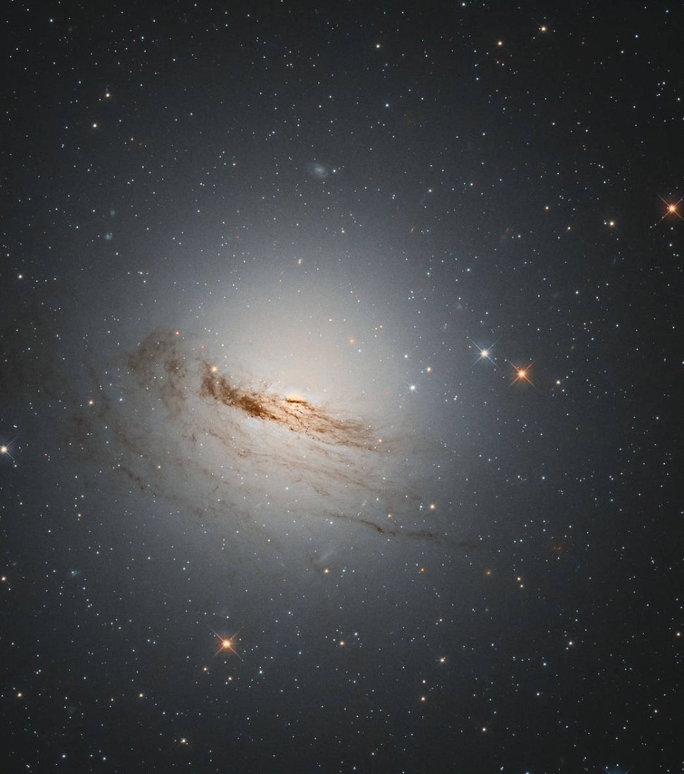 Ova fotografija, snimljena svemirskim teleskopom Hubble, prikazuje umiruću galaksiju nazvanu NGC 1947. Izvor: ESA / Hubble / NASA / D. Rosario / L. Shatz