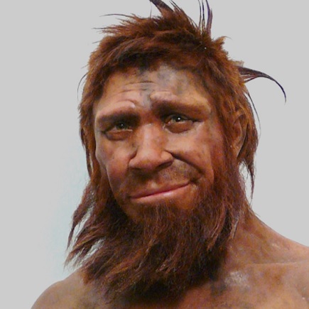 Rekonstrukcija neandertalca. Izvor: dnatestingchoice.com.