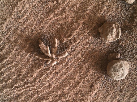 Približena slika vrlo malih i prilično neobičnih konkretnih značajki koju je snimio Curiosity. Ovu značajku znanstvenici su nazvali 'Blackthorn Salt' (©NASA/JPL-Caltech/MSSS/Kevin M. Gill).