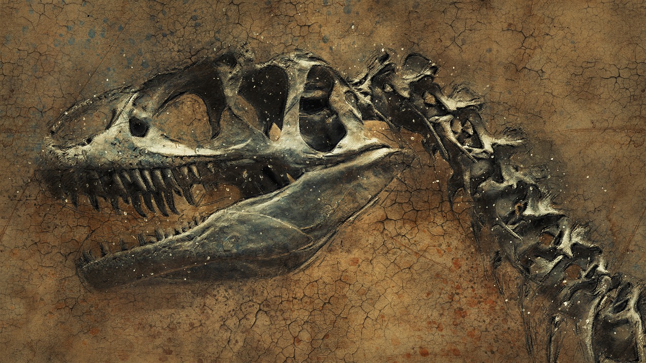 Fosil dinosaura. Izvor: Pixabay.com.
