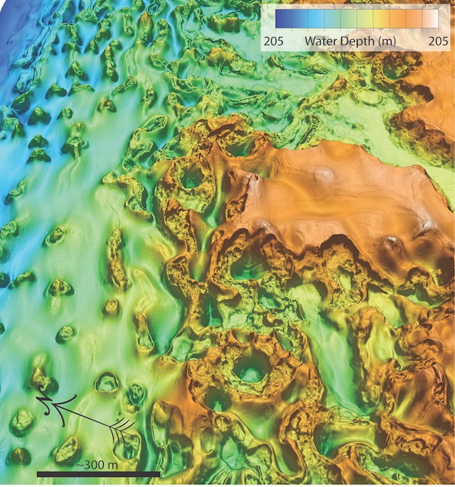 MBARI-jevi AUV-i za kartiranje detaljno su prikazali neobično grub teren morskog dna duž ruba epikontinentalnog pojasa u kanadskom Arktiku. Vrtače su se razvile tamo gdje se led permafrosta na dubini odmrznuo, stvarajući praznine u koje se urušilo morsko dno. Kružni brežuljci formirani su tamo gdje je bočata voda nastala raspadanjem reliktnog permafrosta migrirala prema gore i smrznula se, prekrivši morsko dno nasipima s ledenim jezgrom koji se nazivaju 'pingos' (©Eve Lundsten, MBARI, 2022).