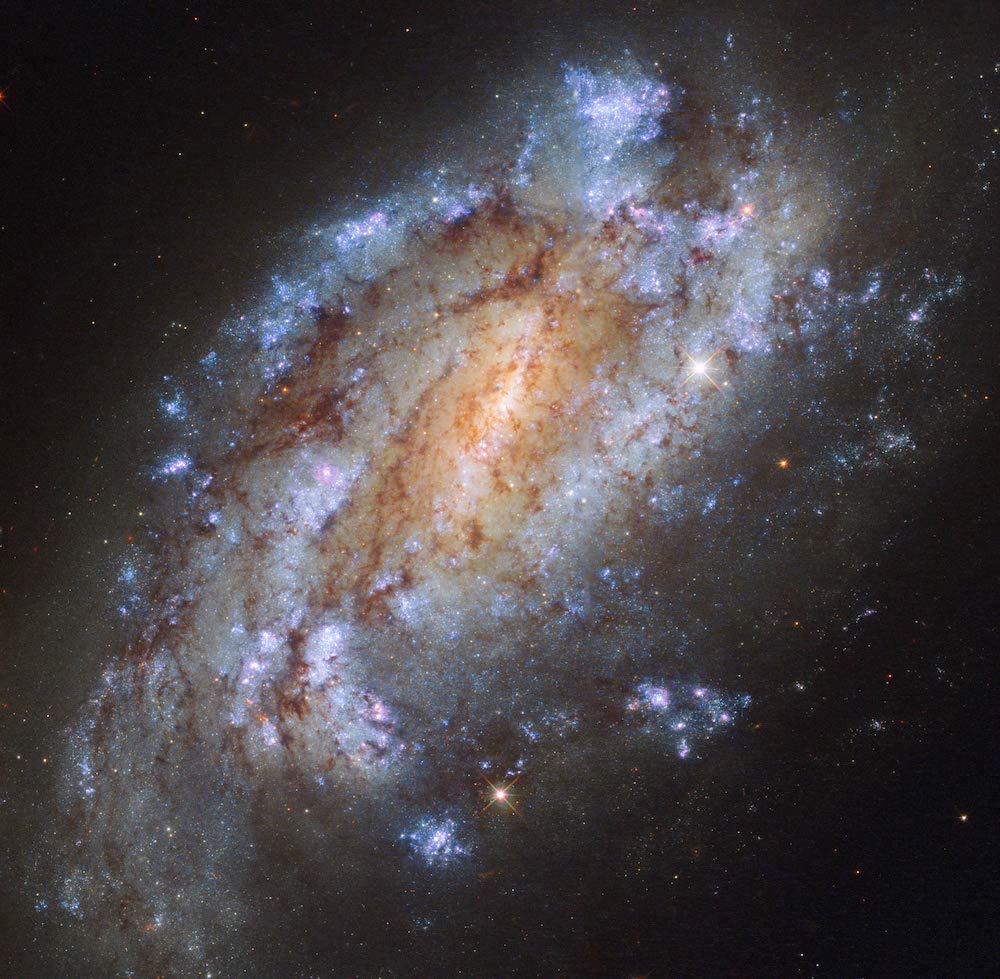 Spiralna galaksija NGC 1559, primjer lokalne galaksije koja stvara zvijezde (©NASA/ESA/Hubble).