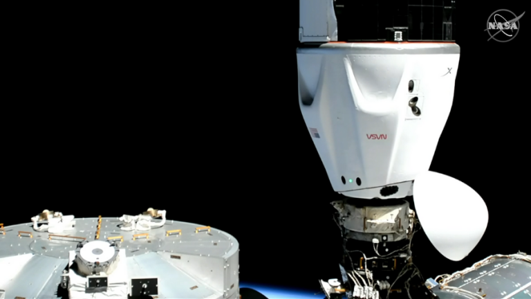 Freedom_docked