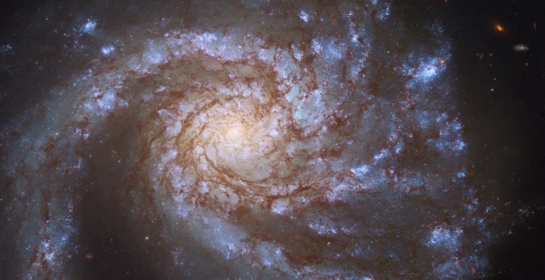 NASA M99 fotografija.