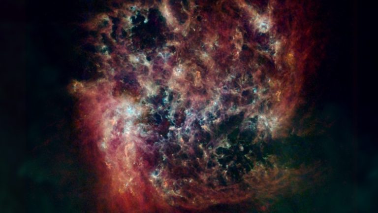 Veliki Magellanov oblak (LMC) prikazana u infracrvenoj i radiovalovnoj duljini svjetlosti (©ESA, NASA, NASA-JPL, Caltech, Christopher Clark).