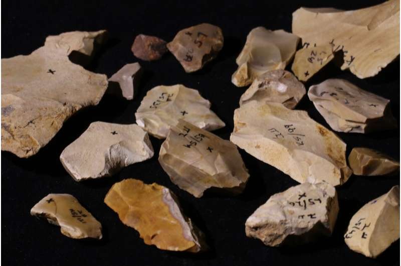 Kameno oruđe iz Evrona u Izraelu za koje znanstvenici smatraju da se vjerojatno koristilo u kontroliranim požarima prije milijun godina (©Filipe Natalio i Zane Stepka/Weizmann Institute).