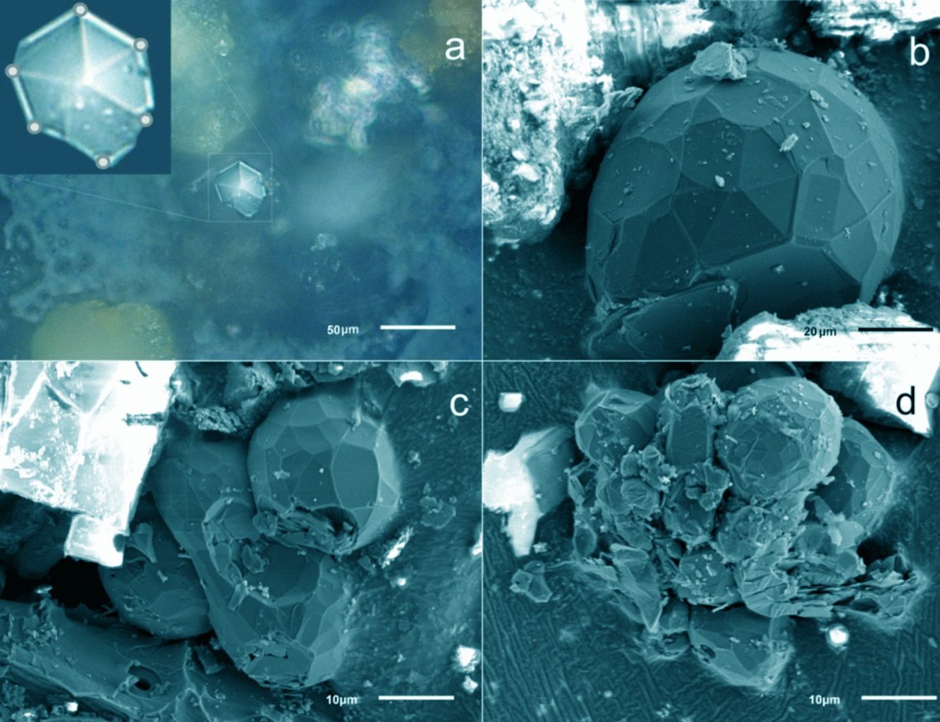 Ova fotografija prikazuje optički (a) i SEM (b-d) pogled na kristale ugljika ugrađene u meteoritsku prašinu (©Taskaev et al., doi: 10.1140/epjp/s13360-022-02768-7).