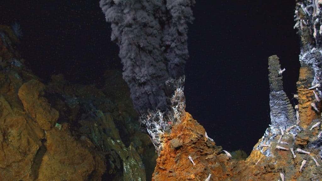 Tipičan primjer izgleda podvodnog hidrotermalnog izvora (©Woods Hole Oceanographic Institution).