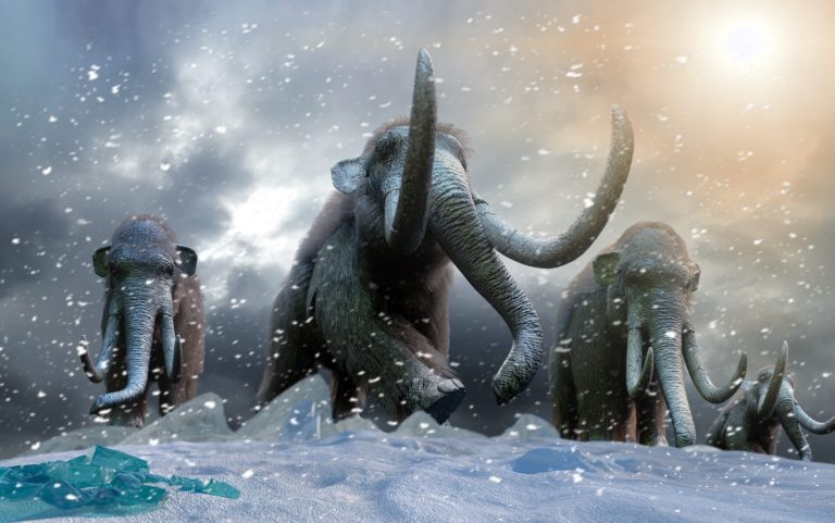 An-illustration-of-Woolly-Mammot (Curiosmos)