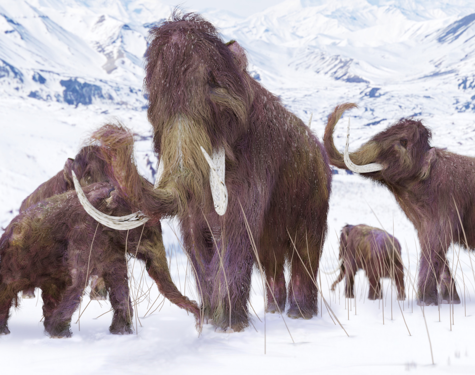 Umjetnički prikaz vunastih mamuta (©Depositphotos).