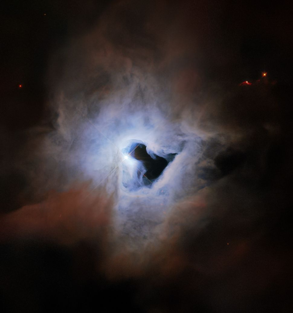 Ovaj neobičan portret snimio je svemirski teleskop Hubble, a prikazuje NGC 1999 – maglicu u zviježđu Orion – i njenu neobičnu 'kozmičku ključanicu' (©ESA/Hubble & NASA, ESO, K. Noll).