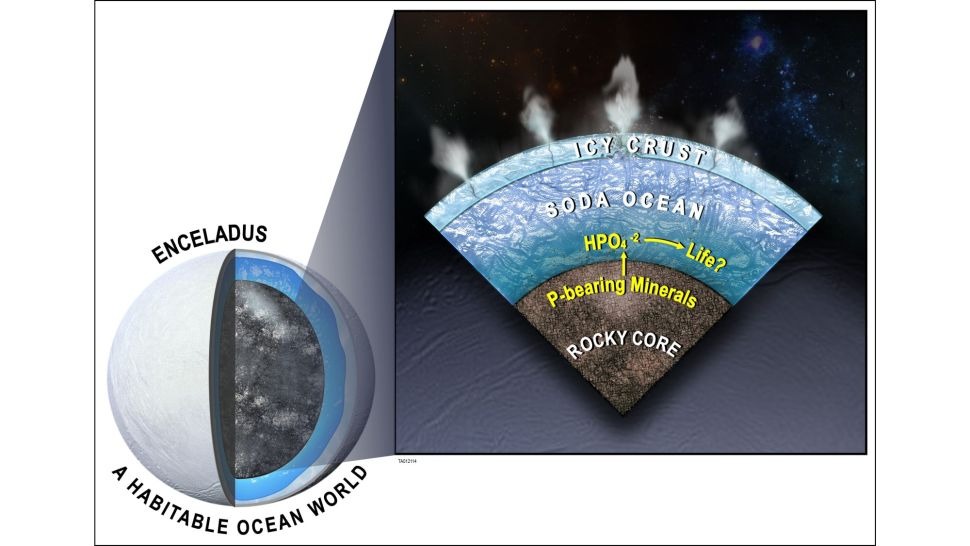 Presjek unutrašnjosti mjeseca Encelad koji pokazuje kako se minerali koji sadrže fosfor mogu otopiti u ortofosfat koji potom može obogatiti ocean (©SwRI).