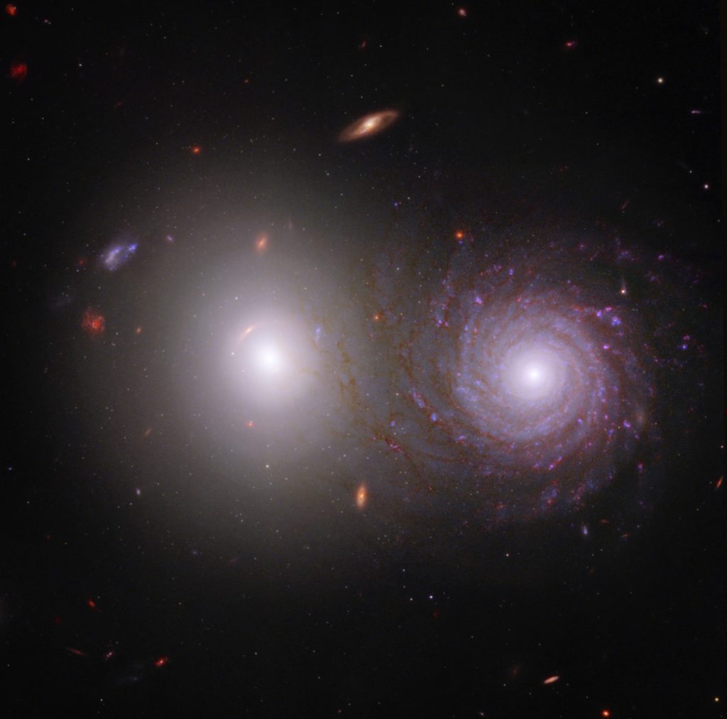 Astronomi proučavaju kako međuzvjezdana prašina utječe na svjetlost iz udaljenije jednostavne eliptične galaksije (lijeva) tijekom njenog 'puta' pored bliže galaksije (desno) te konačno do naših teleskopa(© NASA, ESA, CSA, Rogier Windhorst (ASU), William Keel (Sveučilište Alabama), Stuart Wyithe (Sveučilište Melbourne), tim JWST PEARLS).