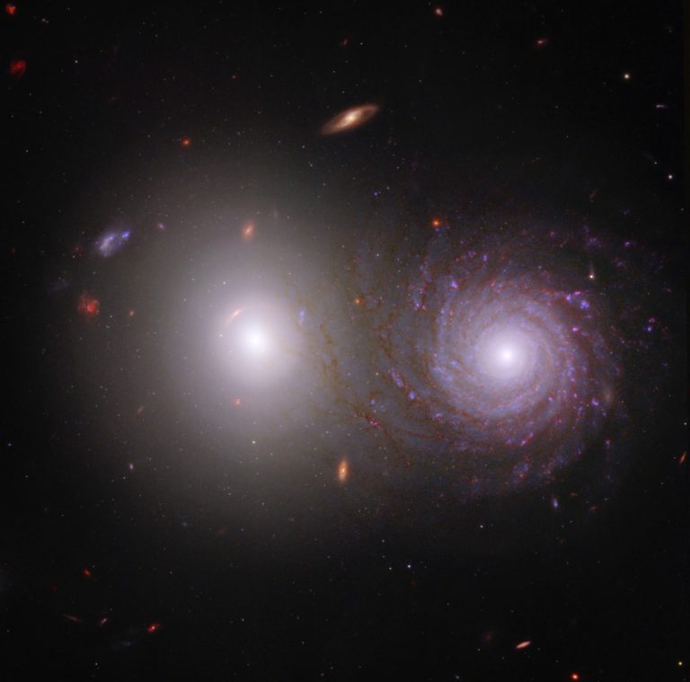 Astronomi proučavaju kako međuzvjezdana prašina utječe na svjetlost iz udaljenije jednostavne eliptične galaksije (lijeva) tijekom njenog 'puta' pored bliže galaksije (desno) te konačno do naših teleskopa(© NASA, ESA, CSA, Rogier Windhorst (ASU), William Keel (Sveučilište Alabama), Stuart Wyithe (Sveučilište Melbourne), tim JWST PEARLS).