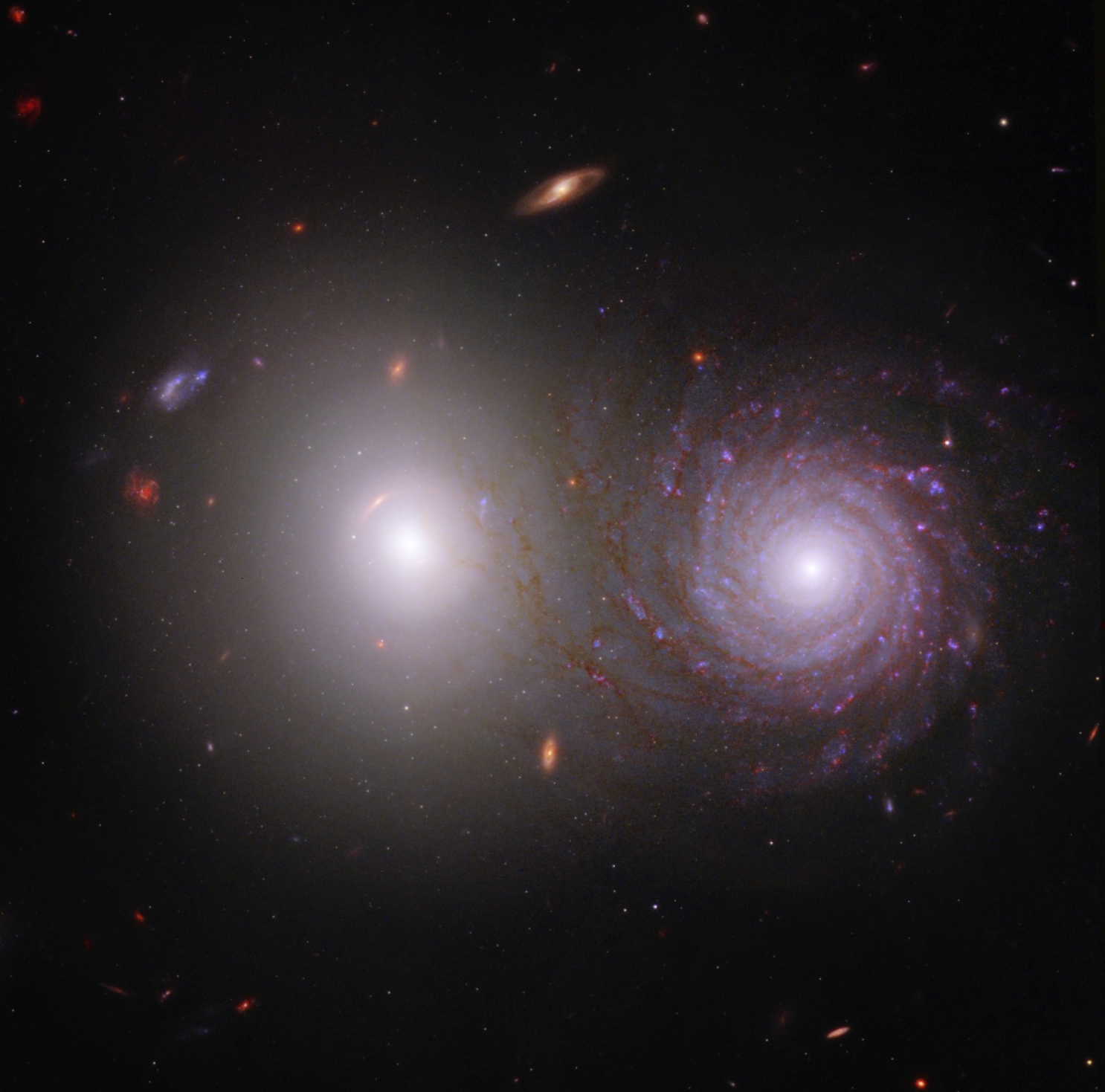 Astronomi proučavaju kako međuzvjezdana prašina utječe na svjetlost iz udaljenije jednostavne eliptične galaksije (lijeva) tijekom njenog 'puta' pored bliže galaksije (desno) te konačno do naših teleskopa(© NASA, ESA, CSA, Rogier Windhorst (ASU), William Keel (Sveučilište Alabama), Stuart Wyithe (Sveučilište Melbourne), tim JWST PEARLS).