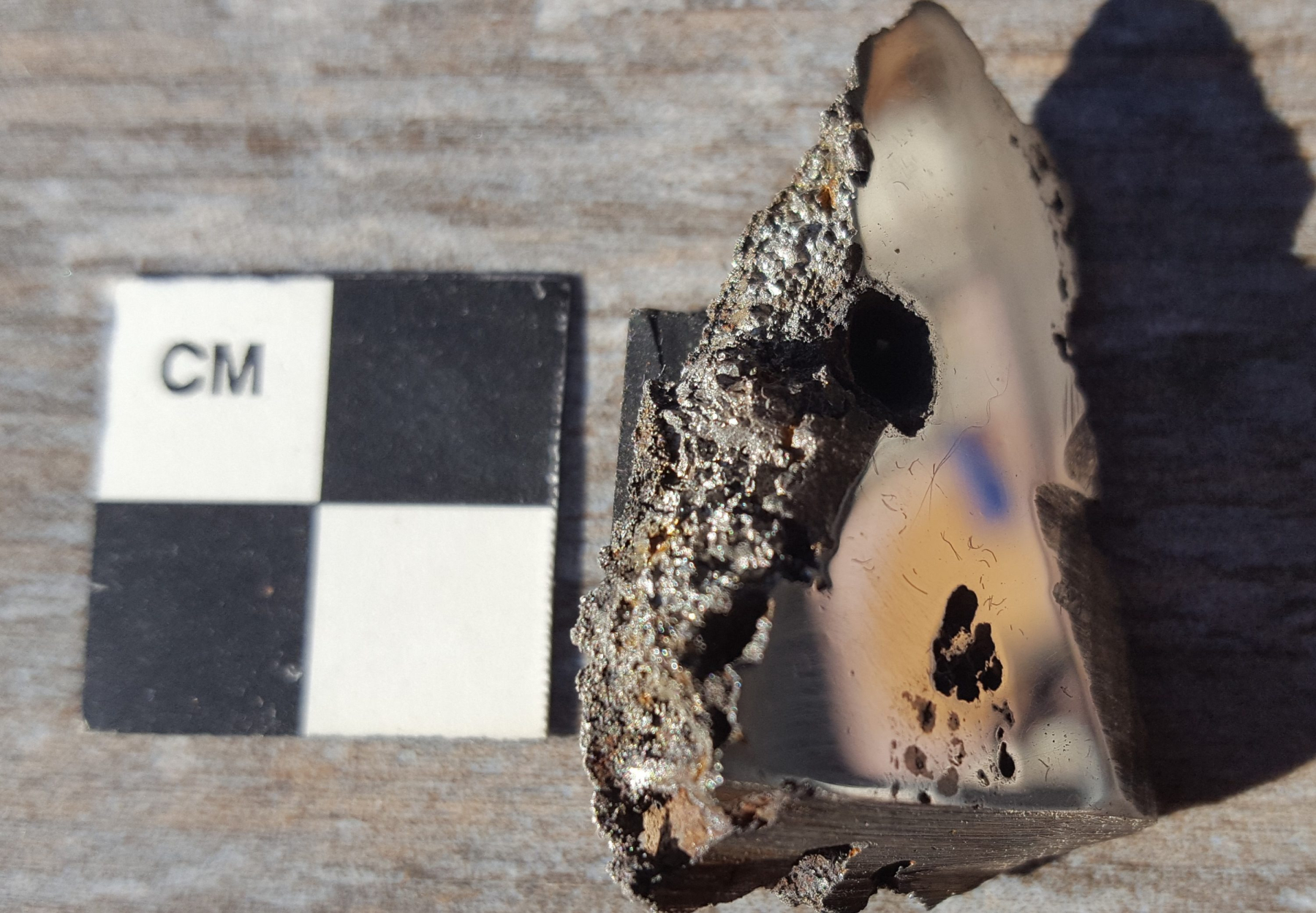 Dio meteorita El Ali, koji se sada nalazi u zbirci meteorita Sveučilišta Arizona, sadrži dva minerala koja nikad prije nisu viđena na Zemlji (©Sveučilište Arizona).