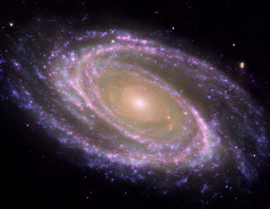 Galaksija Messier 81, poznata i kao M81. NASA/JPL-Caltech/ESA/Harvard-Smithsonian CfA