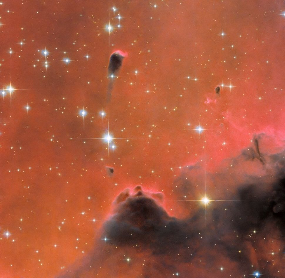 Maglica Duša, koja se nalazi 7000 svjetlosnih godina od Zemlje, prožeta je crvenim sjajem na novoj slici svemirskog teleskopa Hubble (© ESA/NASA et al).