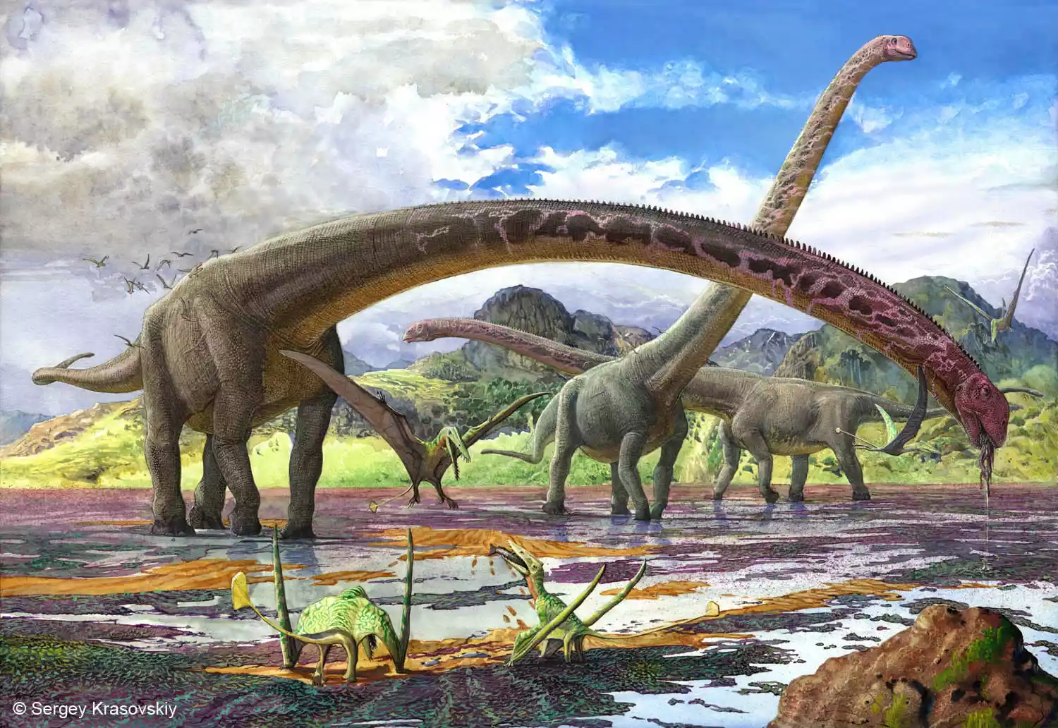 Ilustracija Mamenchisaurusa. Zasluge: Sergey Krasovskiy.
