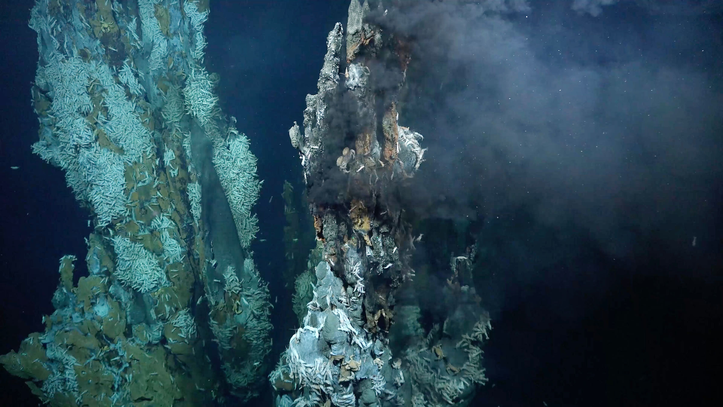 Fotografija hidrotermalnog izvora.