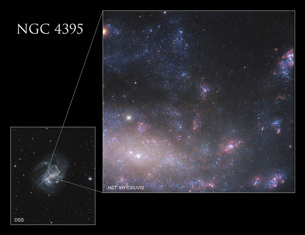 Veća Hubbleova fotografija prikazuje središnje područje NGC 4395 zajedno s manjom umetnutom slikom Digital Sky Survey, u donjem lijevom kutu, koja otkriva lokaciju Hubbleove slike u širem kontekstu cijele galaksije. NASA, ESA, S. Larsen.