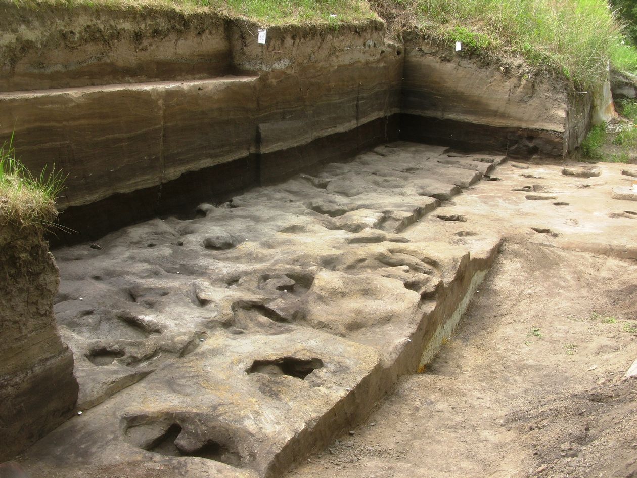 Fosilni otisci stopala s lokaliteta Schöningen 13 II-2 Untere Berme.