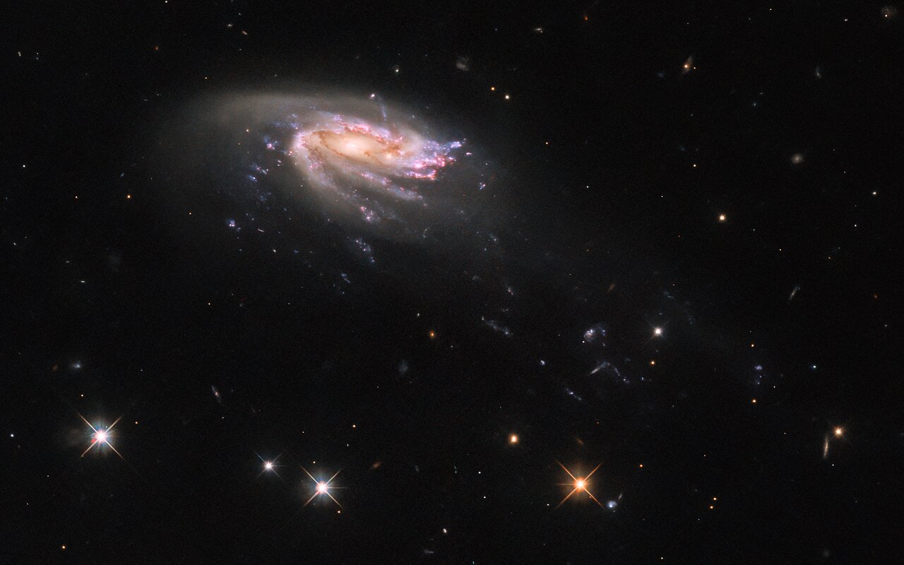 Fotografija galaksije meduza JO206. Zasluge: ESA/Hubble & NASA, M. Gullieuszik and the GASP team.