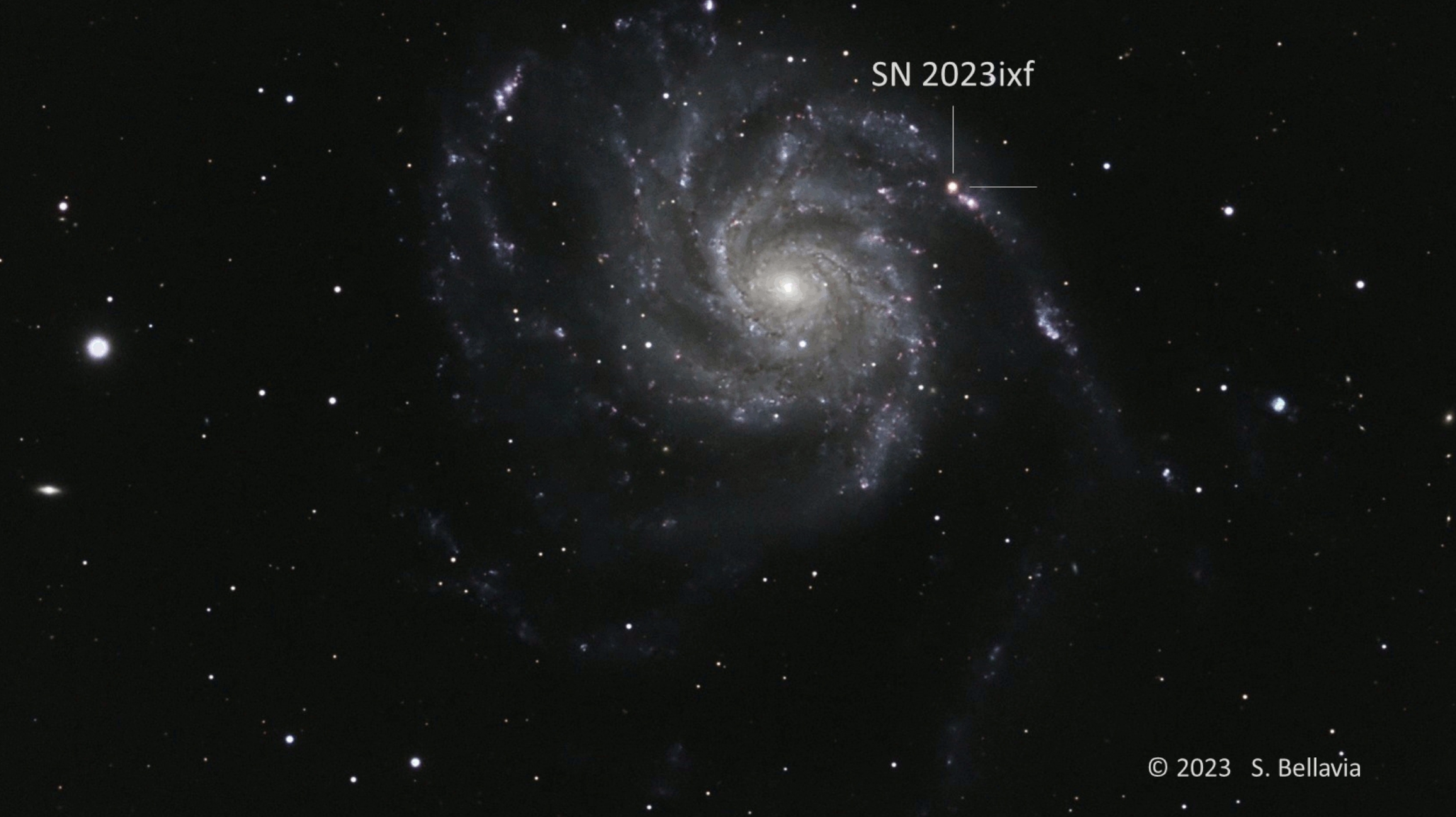 Galaksija Pinwheel, ili Messier 101, 21. svibnja 2023., četiri dana nakon što je svjetlost supernove 2023ixf stigla do Zemlje. Zasluge: Steven Bellavia.