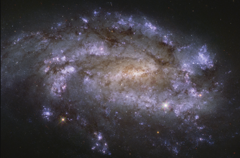 NGC 1559