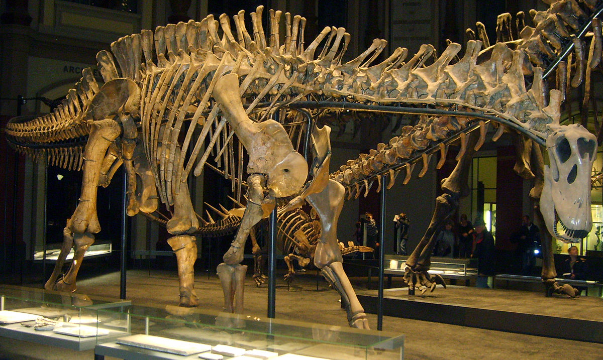 Prvi ikada ostaci dikraeosaurida sauropoda otkriveni u Indiji