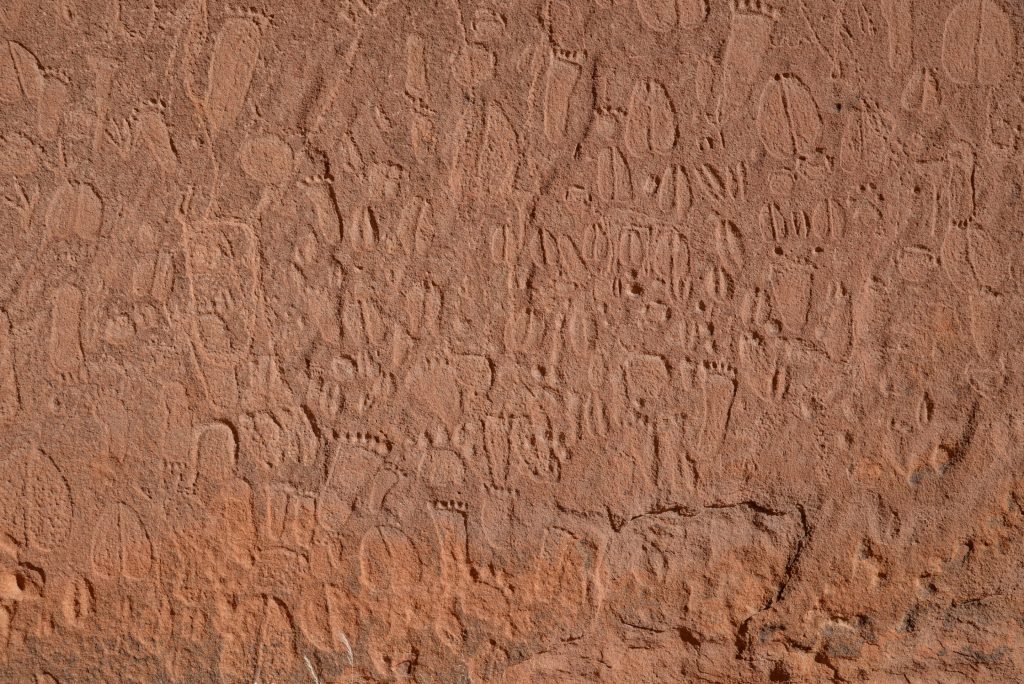 Pećinske Gravure Namibije - Oživljavanje Tragova Kasnog Kamenog Doba