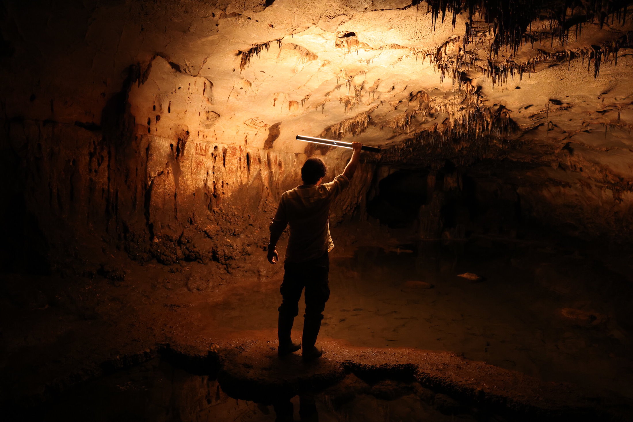 24,000-godišnja špiljska umjetnost među najvećim nalazištima u Europi