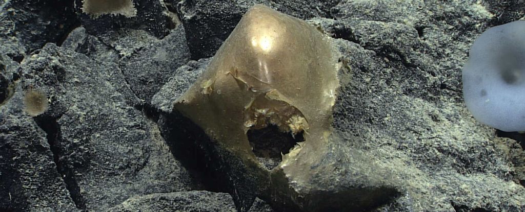 Što je ova misteriozna zlatna kugla pronađena 3 km pod morem?