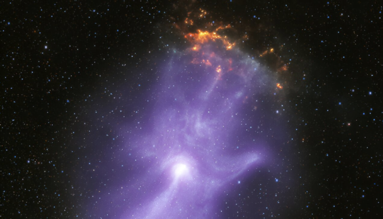 MSH 15-52