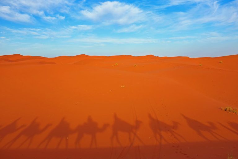 Međunarodni tim arheologa otkrio je impresivne gravure deve u prirodnoj veličini uklesane u stijene Saudijske Arabije. Prema članku objavljenom u časopisu Archaeological Research in Asia, slike su otkrivene na stjenovitom proplanku u pustinji Nefud. Iako suvremeni uvjeti u Saudijskoj Arabiji, s obiljem vrućine, pijeska i kamenja, otežavaju očuvanje arheoloških tragova, povjesničari ipak povremeno pronađu dokaze o neolitskim kulturama. U sjevernom dijelu zemlje, na lokalitetu zvanom "Mjesto deve", pronađene su stijene s gravurama deva u punoj veličini. U Saudijskoj Arabiji pronađene su slične gravure i na drugim lokacijama. Na primjer, gravure otkrivene prije pet godina u provinciji Al-Jouf opisane su kao "parada deva u stvarnoj veličini." U najnovijem istraživanju, tim je istraživao stjenovitu formaciju blizu južnog ruba pustinje Nefud. Ova specifična formacija bila je prethodno poznata istraživačima, ali tek nedavno je otkriveno da skriva umjetnička djela stara tisućama godina. Na njoj su identificirane desetine slika specifične vrste deve koja je izumrla prije tisućama godina. Ranija istraživanja ukazuju na to da su te deve nekoć živjele širom Arapskog poluotoka. Ovaj lokalitet dobio je naziv Sahout, a gravure su pronađene na tri različite stjenovite formacije. Istraživači su primijetili da su gravure nastale u različitim razdobljima. Nove slike su dodavane preko starijih, što se može prepoznati po različitim tehnikama i stilovima urezivanja. Zanimljivo je da su mnoge od njih smještene u zaštićenim pukotinama, vjerojatno kako bi bolje odoljele vremenskim uvjetima. Dodatna analiza materijala iz okolnog područja sugerira da su neki od njih stari i do 8,000 godina. Proučavajući gravure, istraživači su zaključili da su izrađene korištenjem alata od kremena i da je njihova izrada mogla trajati i do dva tjedna. Također su pronašli dokaze koji sugeriraju da su gravure mogle biti rezultat kolektivnog rada zajednice. Pridružite se raspravi u našoj Telegram grupi. KOZMOS Telegram –t.me/kozmoshr