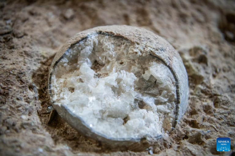 Fotografija pokazuje kristalizirano jaje dinosaura. Zasluge: Xinhua News Agency.