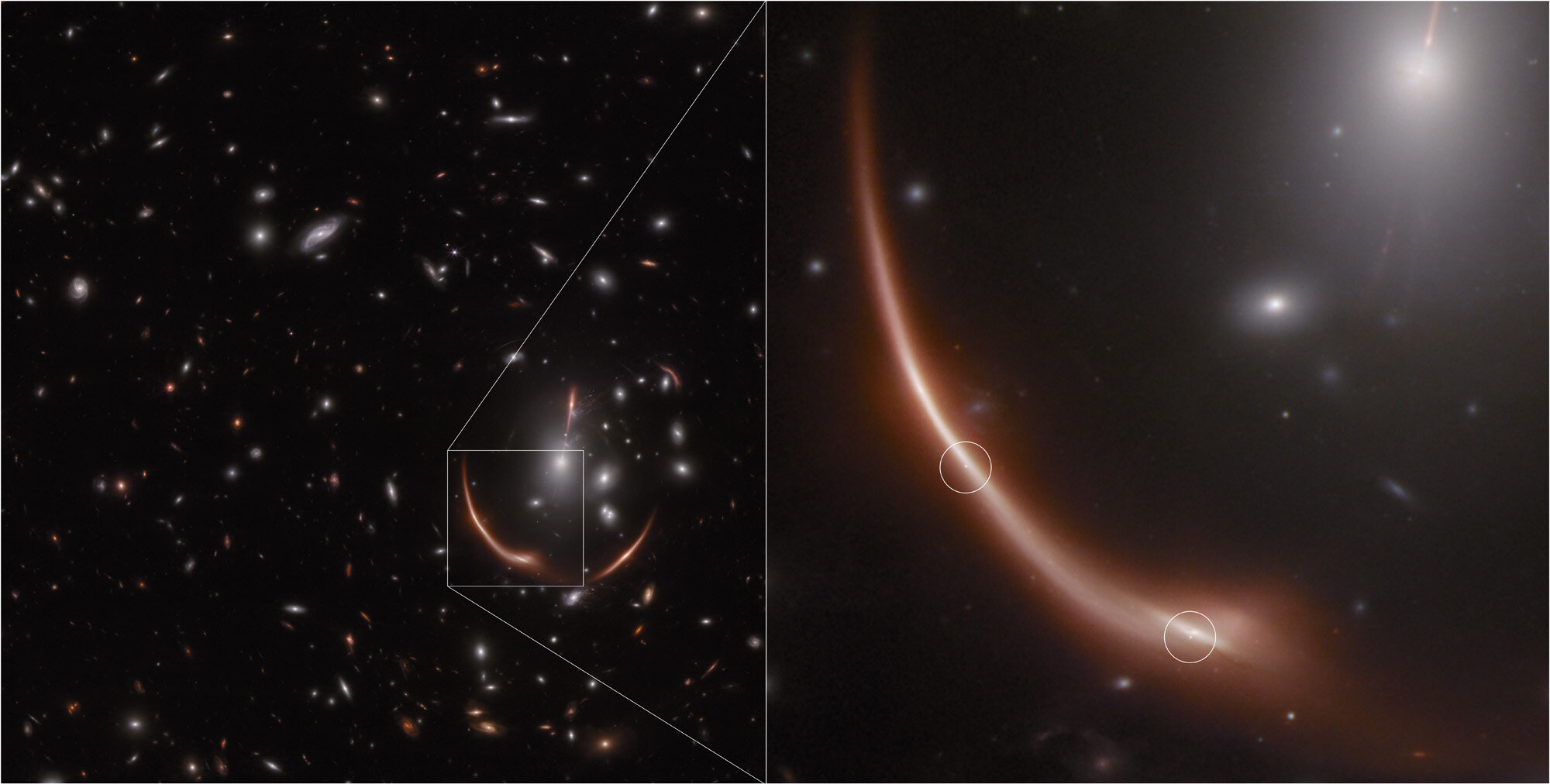 Otkrivena druga rijetka supernova uz pomoć gravitacijske leće. Zasluge: NASA, ESA, CSA, STScI, Justin Pierel (STScI) i Andrew Newman (Carnegie Institution for Science).