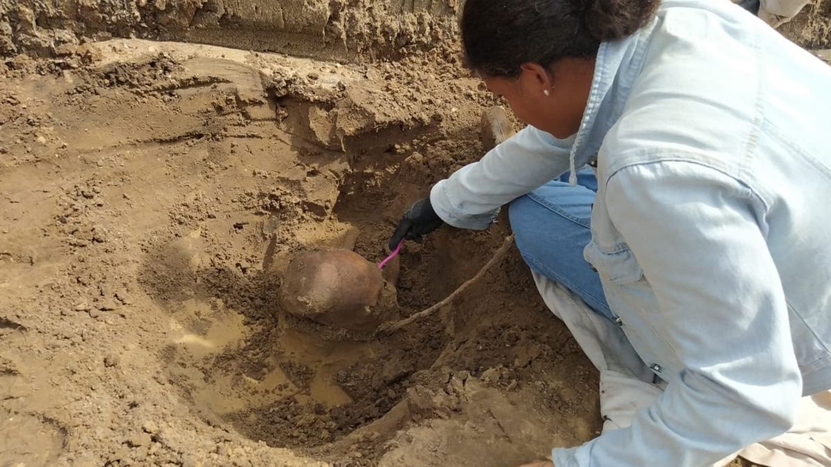 Arheolog iskopava lubanju pronađenu na arheološkom nalazištu Farm Rosane. (Slika: W Lage Arqueologia)