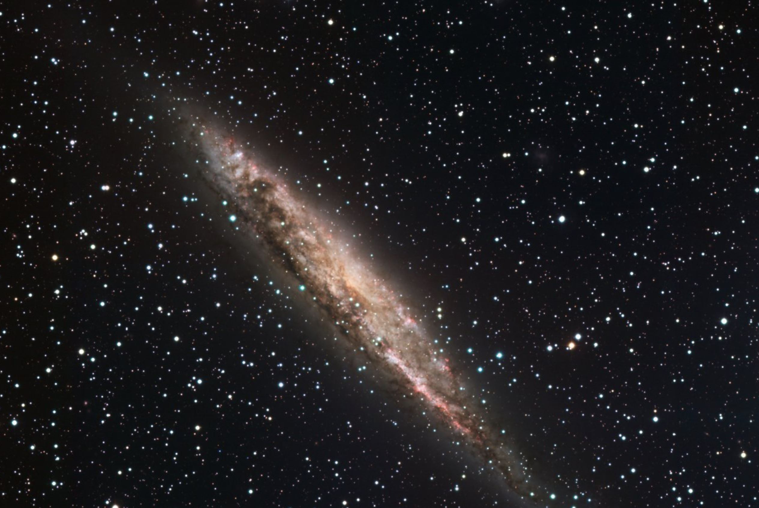 Mjesta aktivnog stvaranja zvijezda izgledaju jarko ružičasta na ovoj slici u vidljivom svjetlu koju je snimio 2,2-metarski teleskop Europskog južnog opservatorija u Čileu. Aktivna jezgra galaksije uglavnom je skrivena oblakom prašine. Zasluge: ESO