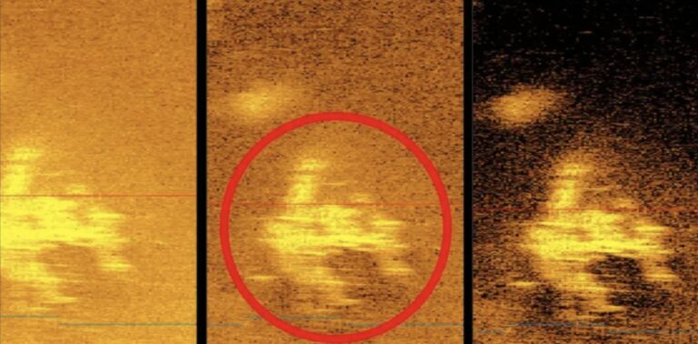 Je li zaista pronađen avion Amelije Earhart. Zasluge: Deep Sea Vision.