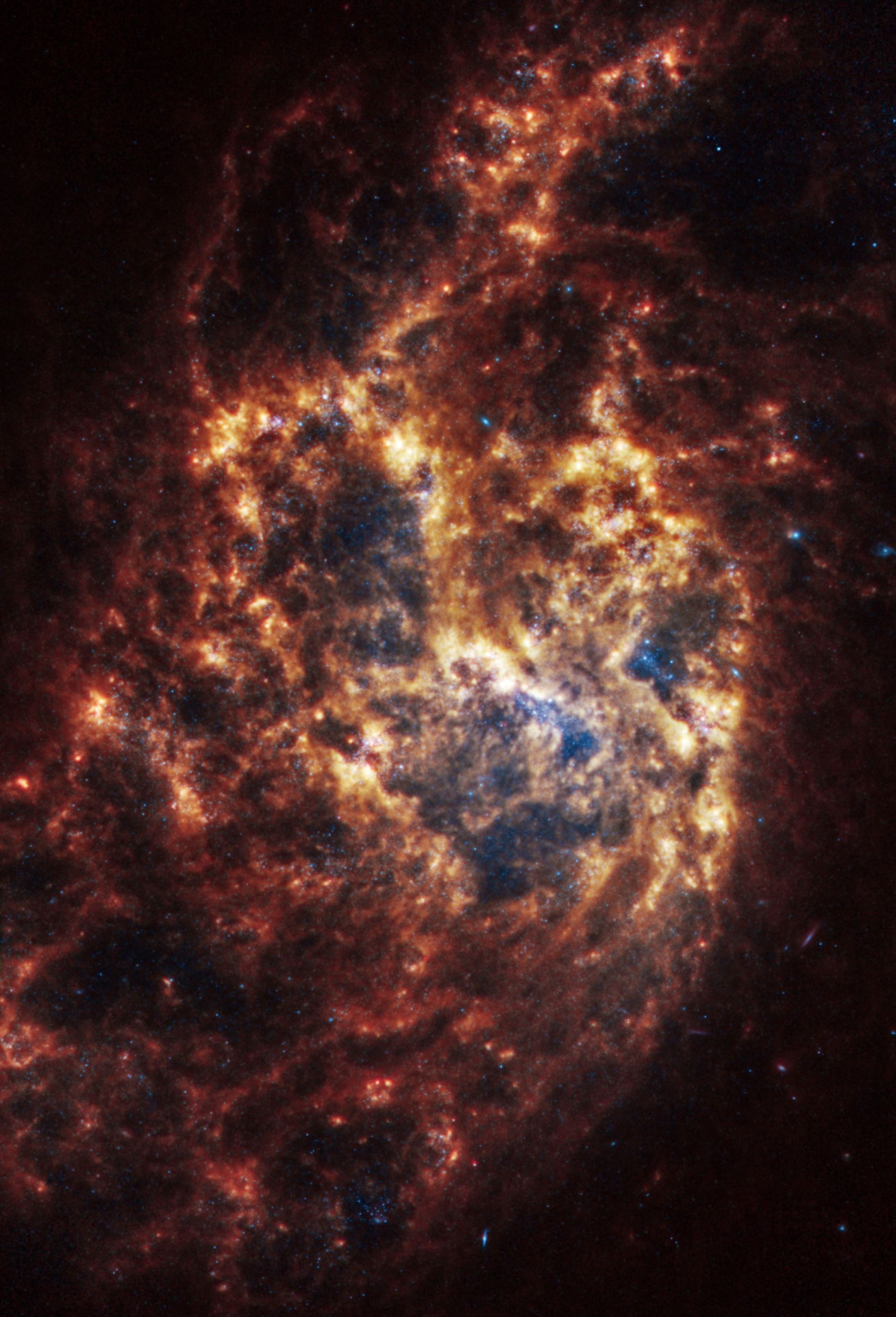 Spiralna galaksija NGC 1385 udaljena je 30 milijuna svjetlosnih godina u zviježđu Fornax. Zasluge: NASA, ESA, CSA, STScI, Janice Lee (STScI), Thomas Williams (Oxford) i PHANGS tim.