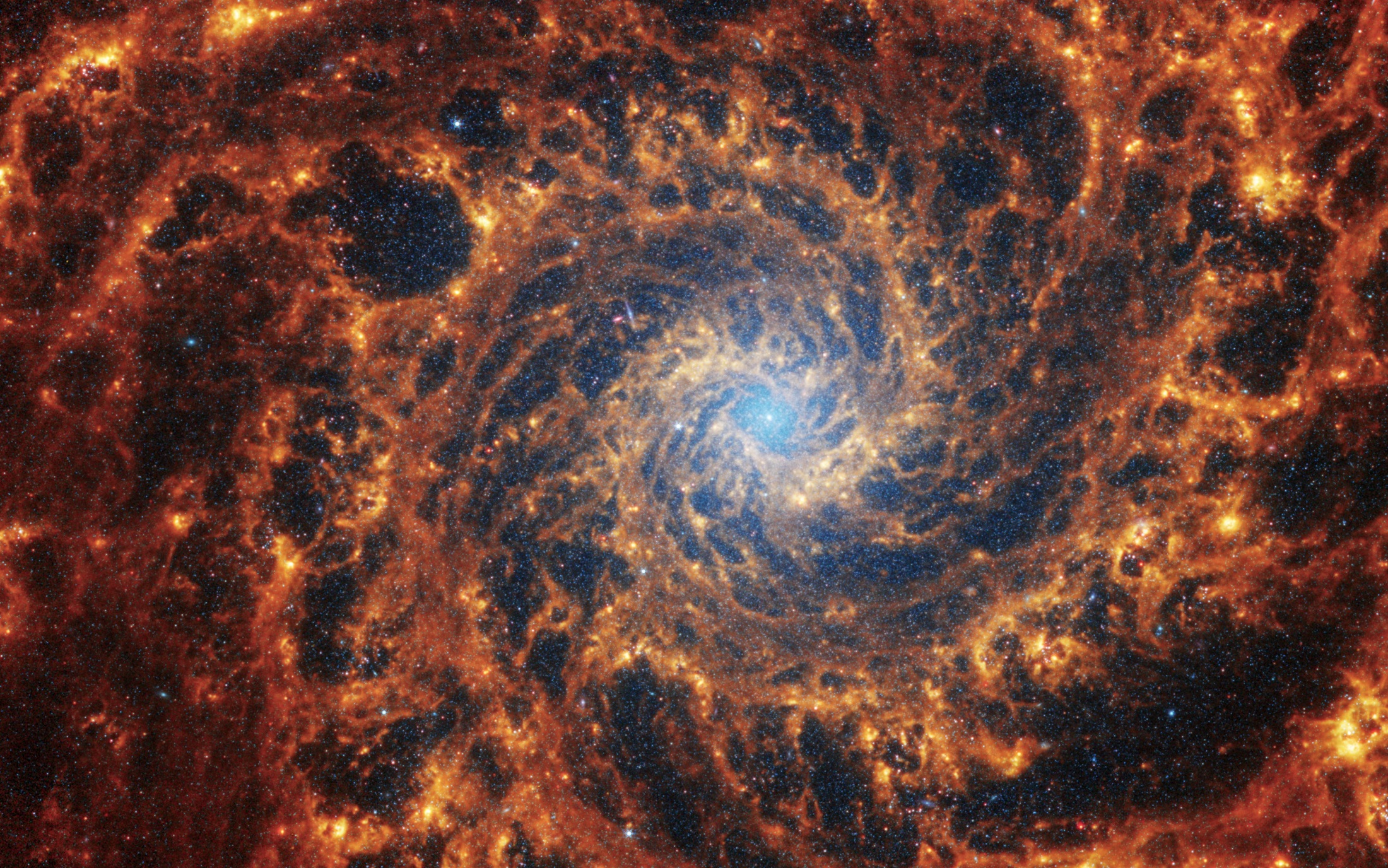 Spiralna galaksija NGC 628 udaljena je 32 milijuna svjetlosnih godina u zviježđu Riba. Zasluge: NASA, ESA, CSA, STScI, Janice Lee (STScI), Thomas Williams (Oxford) i PHANGS tim.