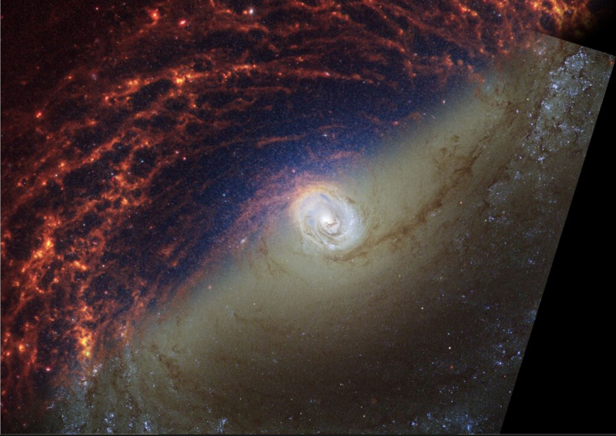 Webb i Hubbleov pogled na spiralnu galaksiju 1433. Zasluge Znanstveni institut za svemirski teleskop.