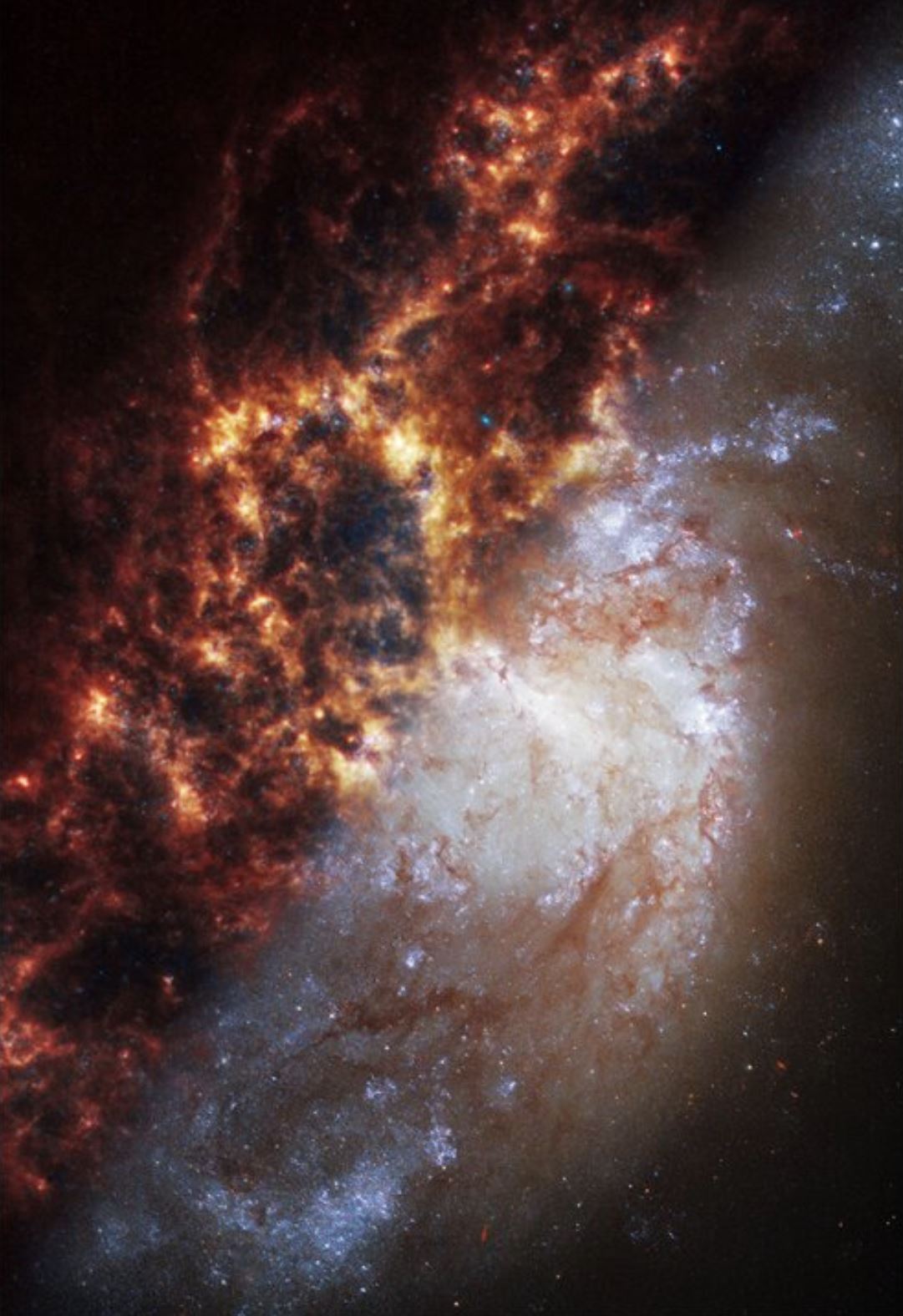 Webb i Hubbleov pogled na spiralnu galaksiju NGC 1385. Zasluge Znanstveni institut za svemirski teleskop.