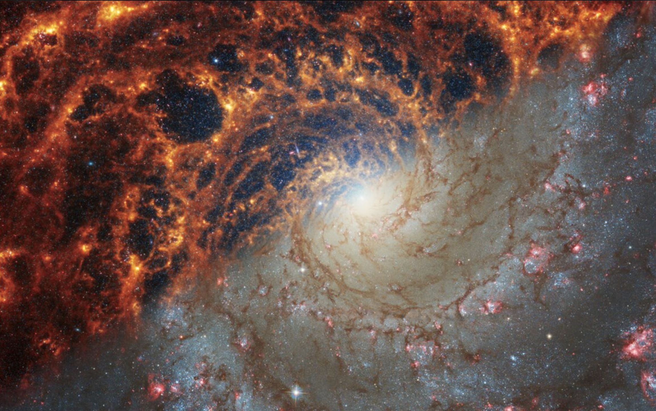 Webb i Hubbleov pogled na spiralnu galaksiju NGC 628. Zasluge Znanstveni institut za svemirski teleskop