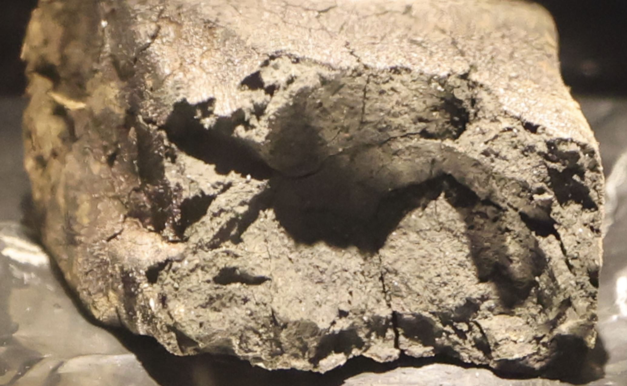 Winchcombe meteorit. Wikimedia Commons.