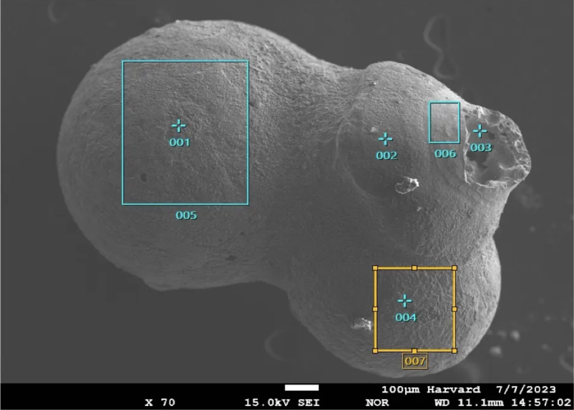 Metalna sferula pod mikroskopom. Izvor: Profesor Avi Loeb.