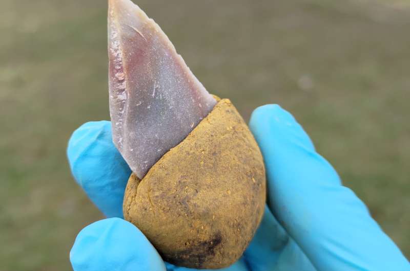 Pronađen najstariji dokaz o složenom ljepilu u Europi