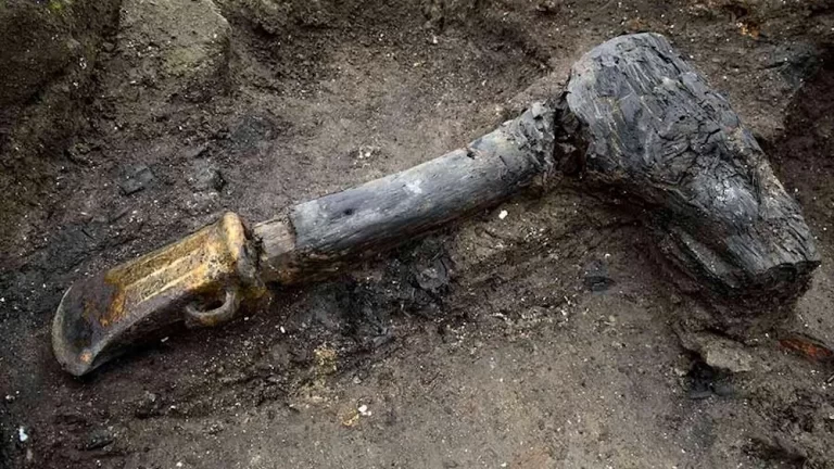 Ostaci sjekire iz brončanog doba pronađeni na Must Farm. (Slika: Arheološka jedinica Cambridgea)