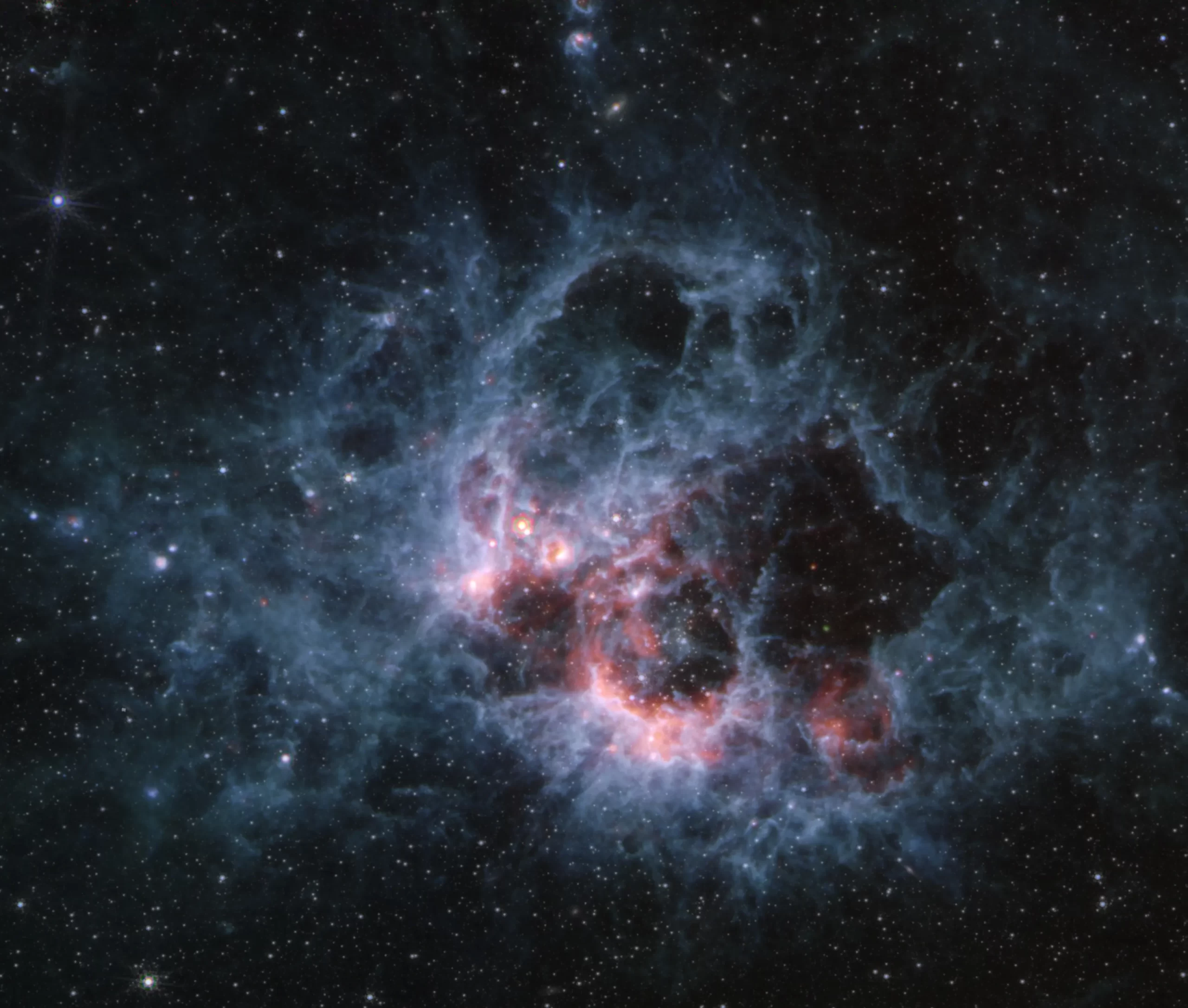 Ova slika regije formiranja zvijezda NGC 604, snimljena Srednje-infracrvenim instrumentom (MIRI) Svemirskog teleskopa James Webb NASA-e, otkriva kako veliki oblaci hladnijeg plina i prašine sjaje u srednjim infracrvenim valnim duljinama. Ova regija je dom za više od 200 najtoplijih i najmasivnijih vrsta zvijezda, koje se sve nalaze u ranoj fazi svojeg životnog ciklusa. NASA, ESA, CSA, STScI